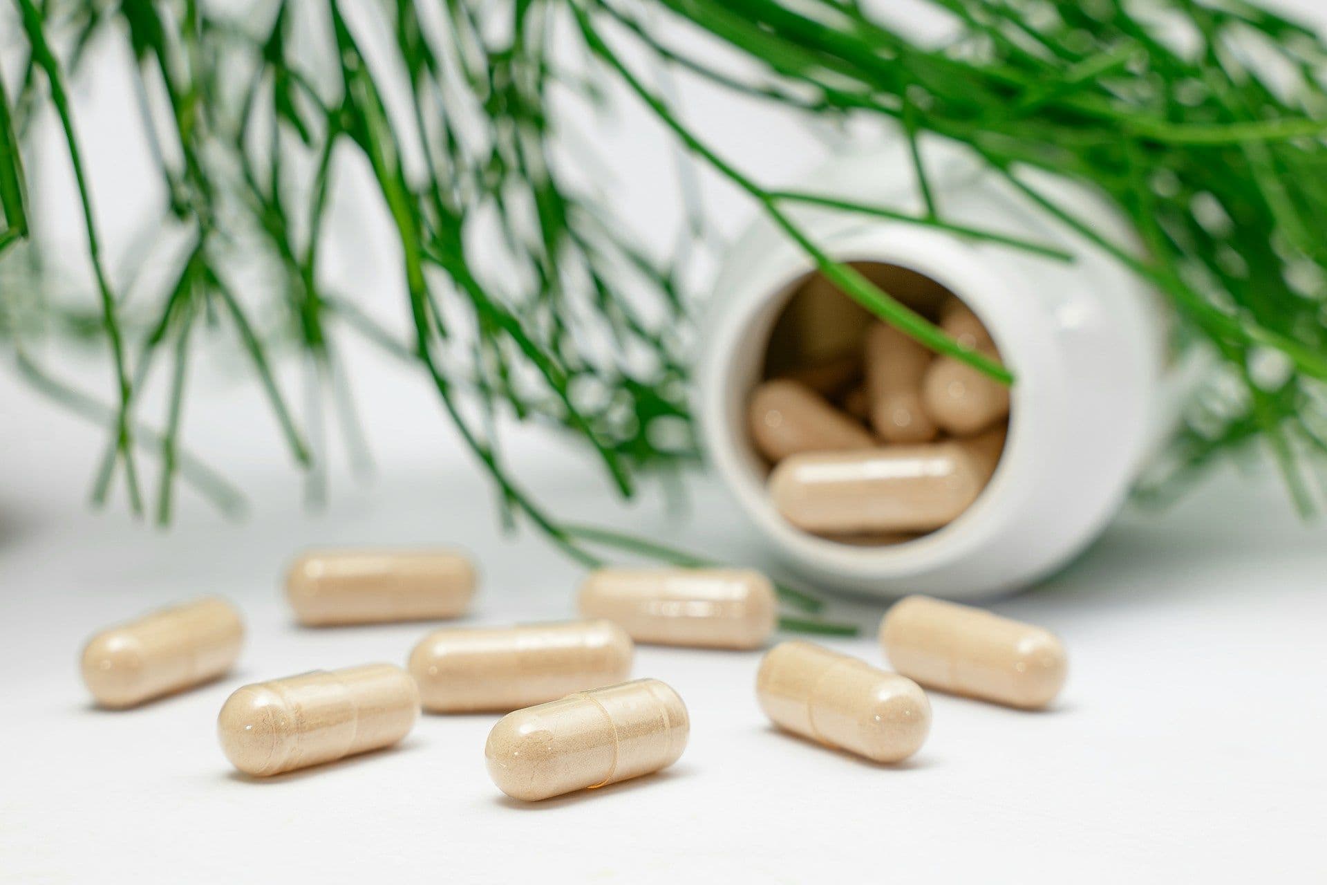 magento-alternatives-high-risk-supplement