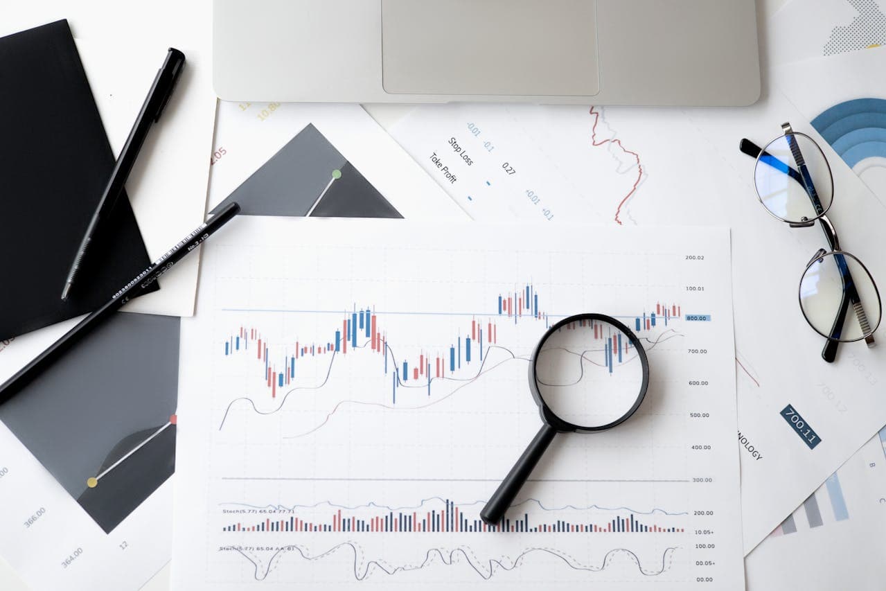 custom-models-fields-statistics