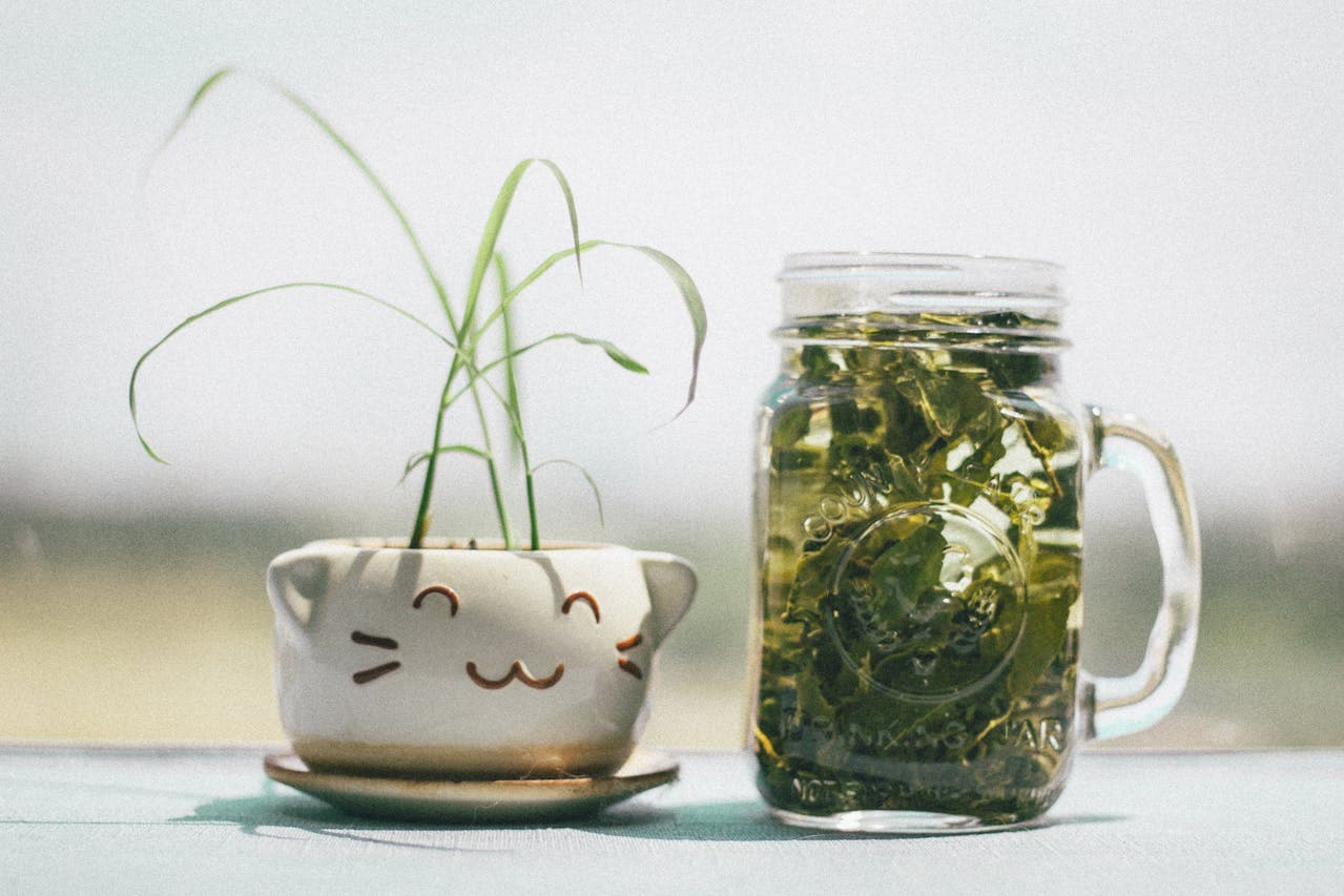 woocommerce-alternatives-kratom-brands